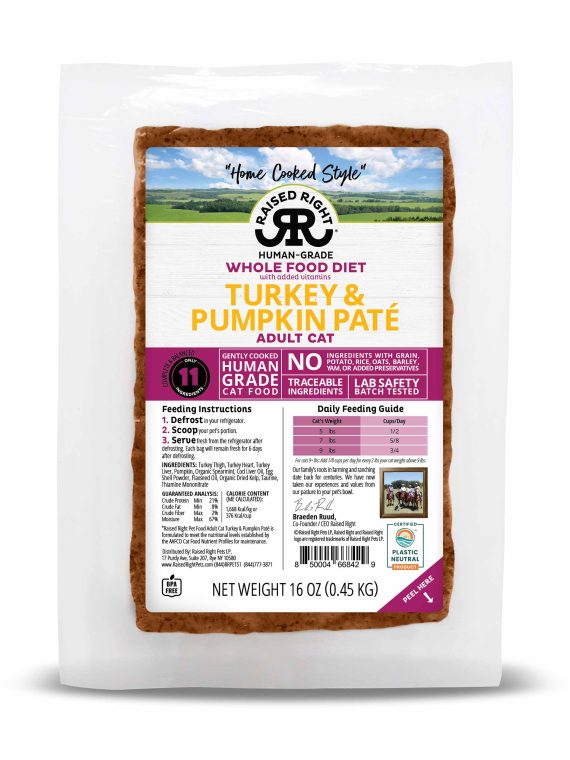 Turkey & Pumpkin Paté for Adult Cats